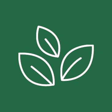 Errebielle-Green Icon-verde